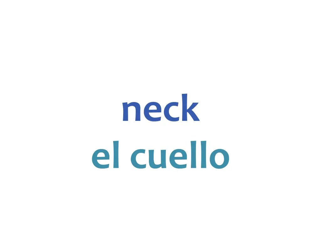neck el cuello