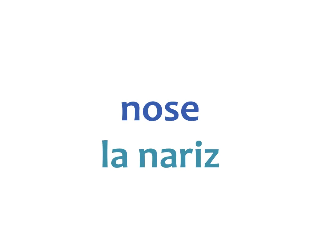 nose la nariz