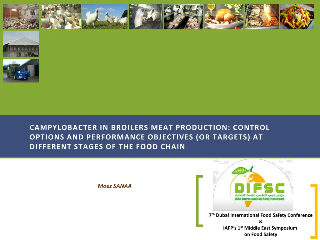 campylobacter in broilers meat production control