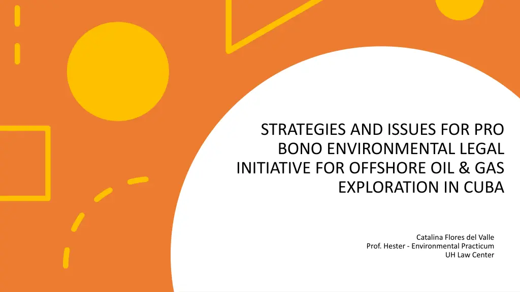 strategies and issues for pro bono environmental
