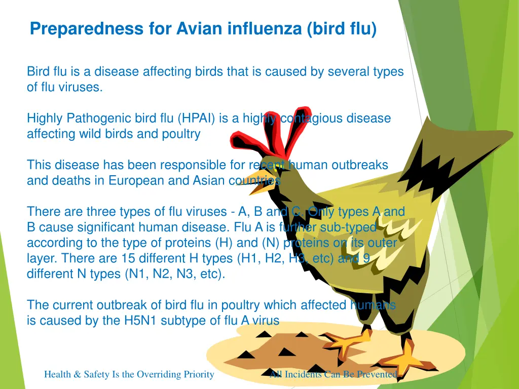 preparedness for avian influenza bird flu 1
