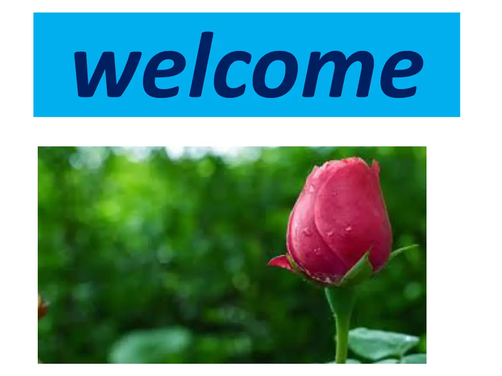 welcome