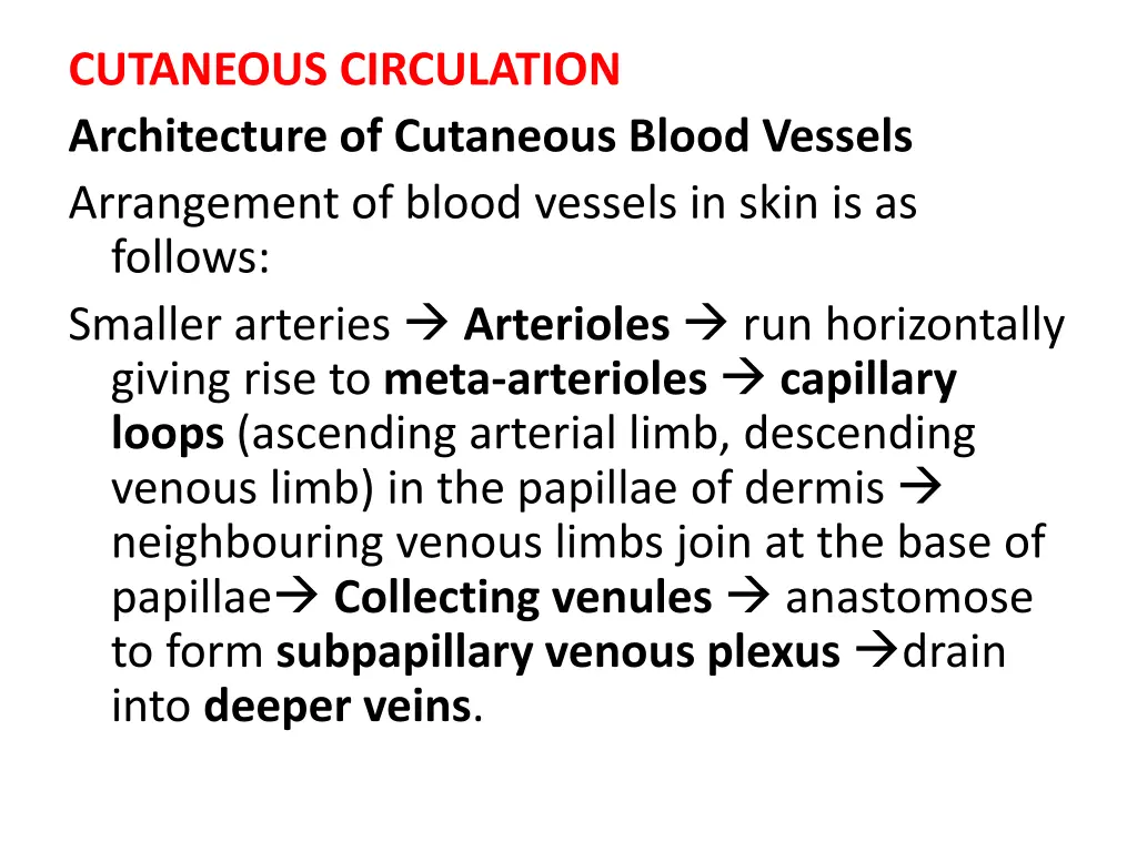 cutaneous circulation architecture of cutaneous