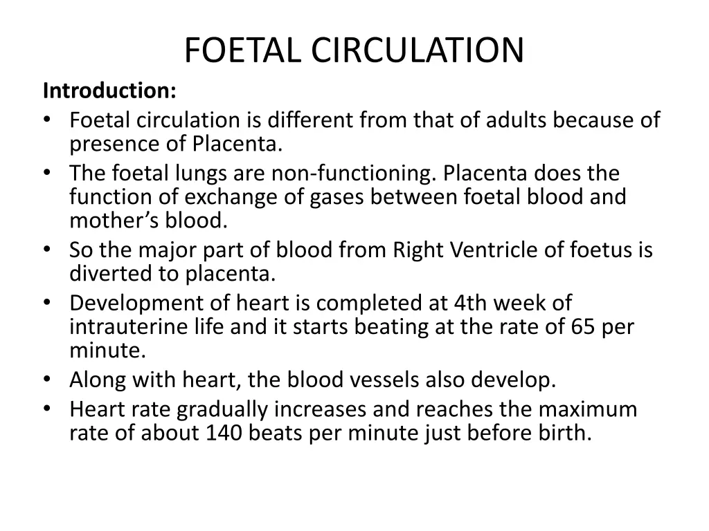 foetal circulation