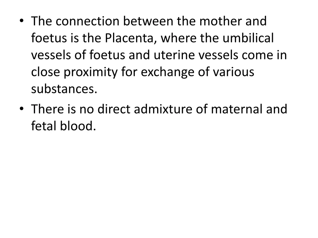 the connection between the mother and foetus
