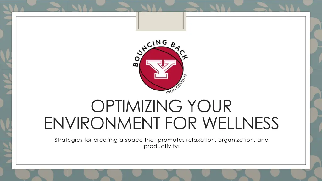 optimizing your environment for wellness
