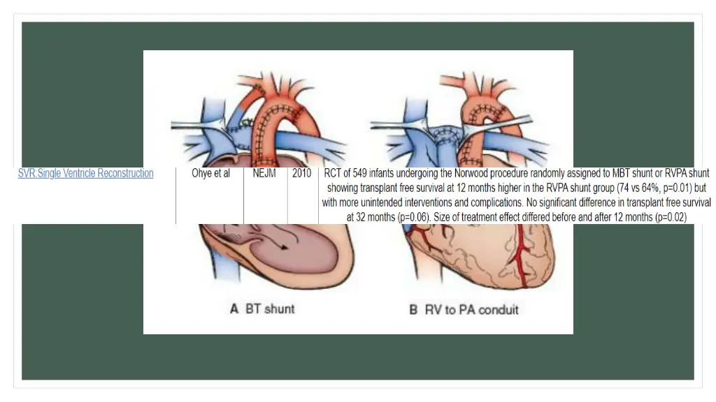slide24