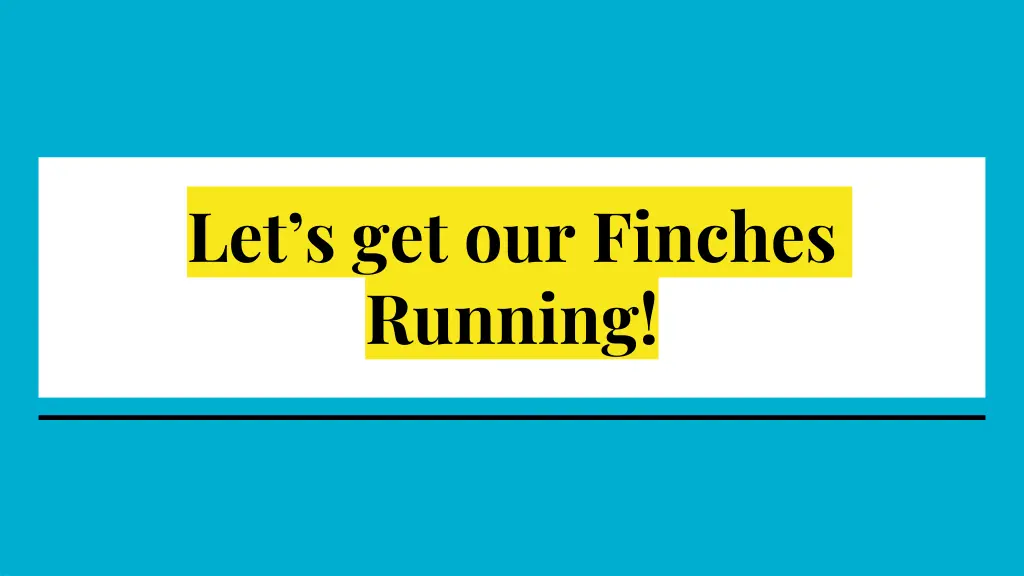 let s get our finches running