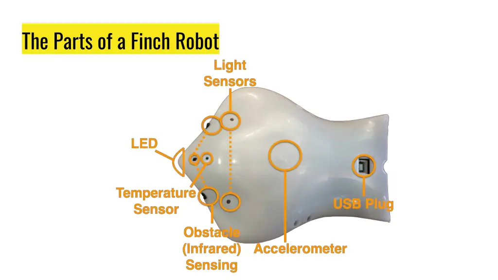 the parts of a finch robot