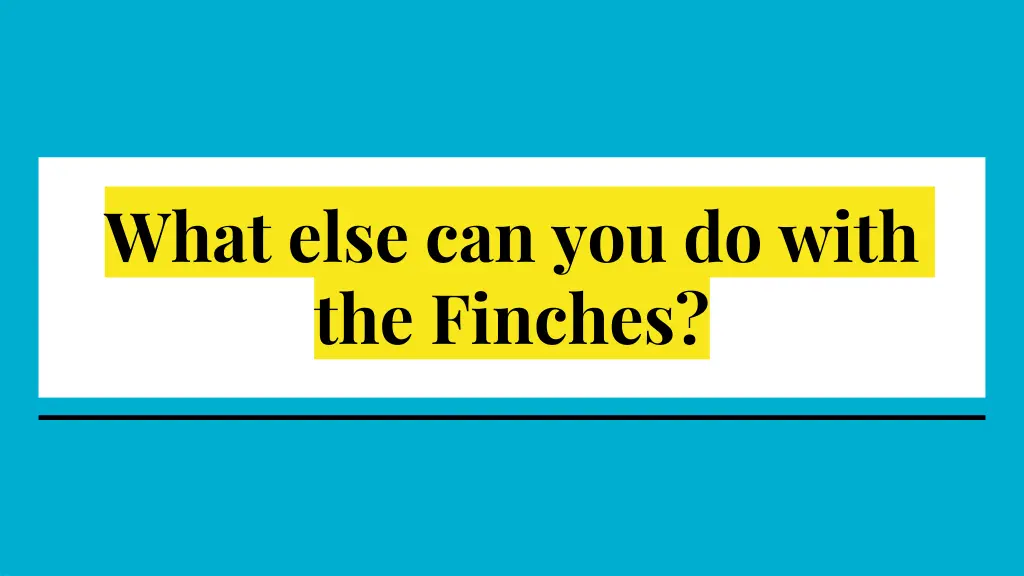 what else can you do with the finches