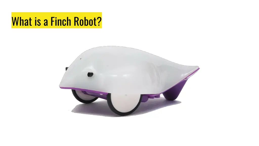 what is a finch robot
