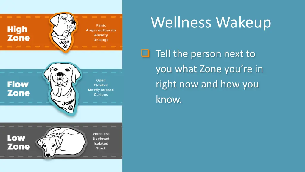 wellness wakeup 11