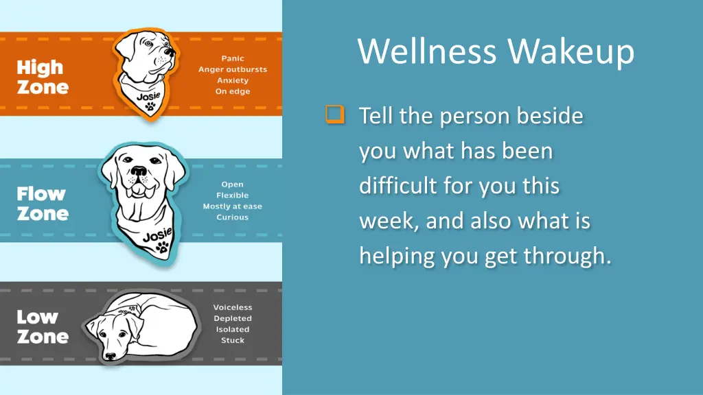 wellness wakeup 13