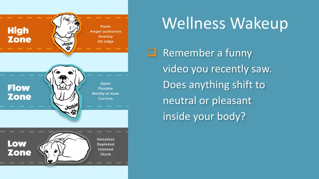 wellness wakeup 17