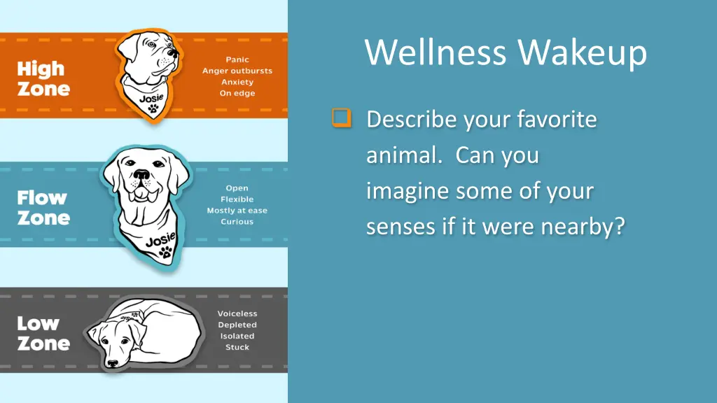 wellness wakeup 18