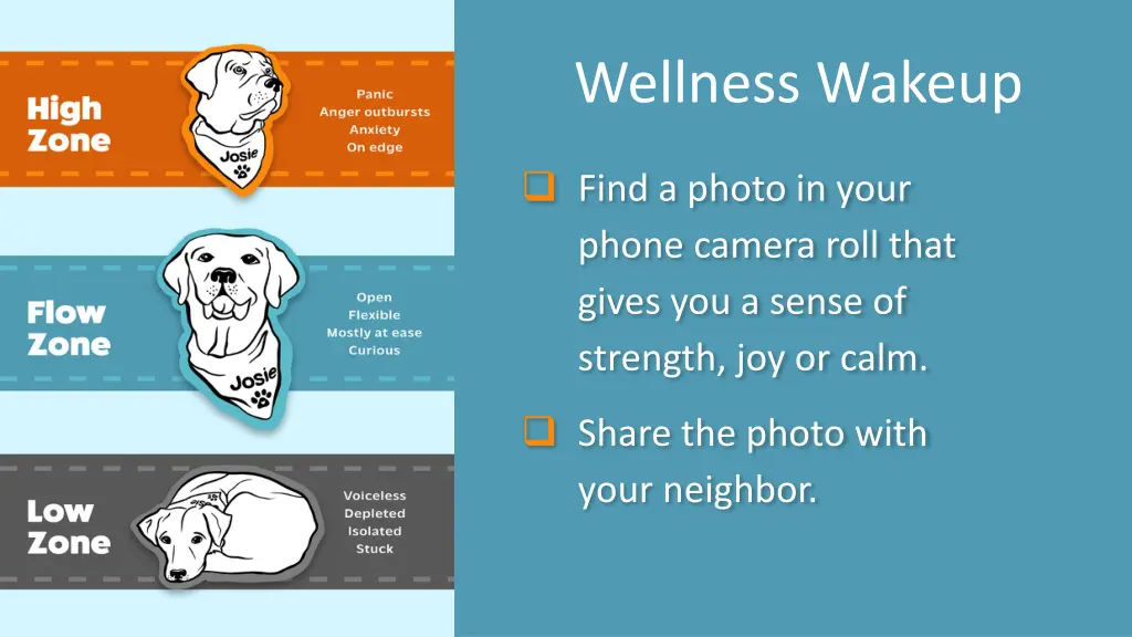 wellness wakeup 22