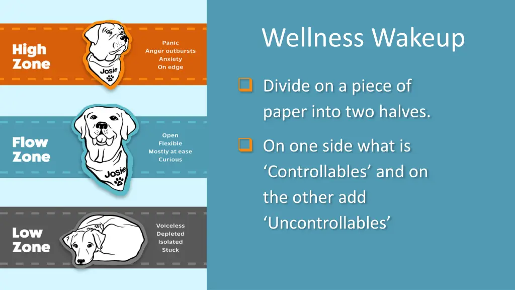 wellness wakeup 24