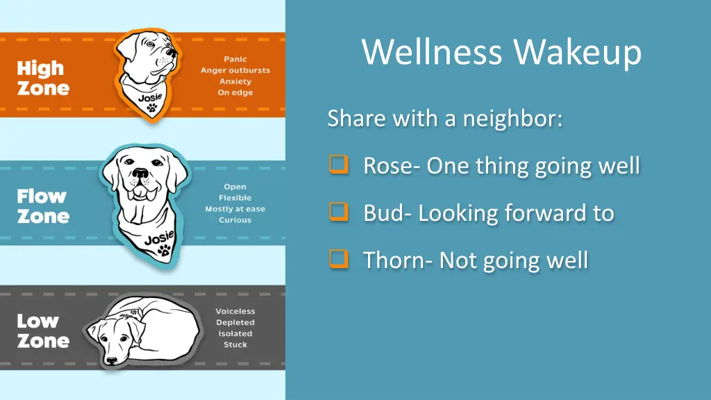 wellness wakeup 25