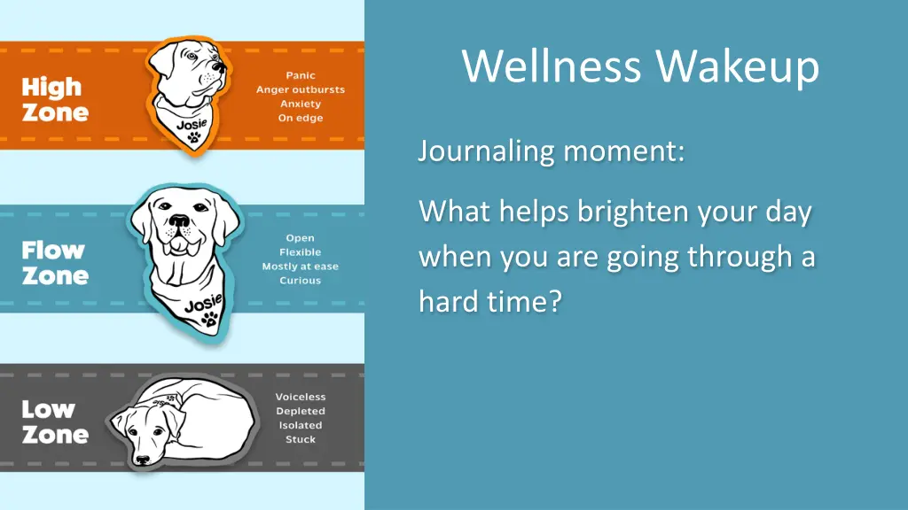 wellness wakeup 29