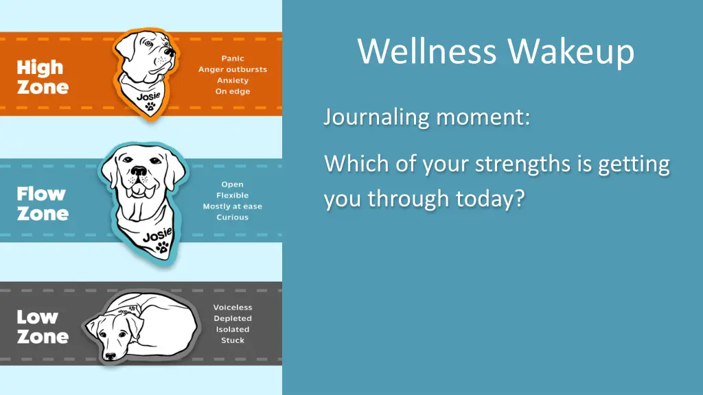 wellness wakeup 31