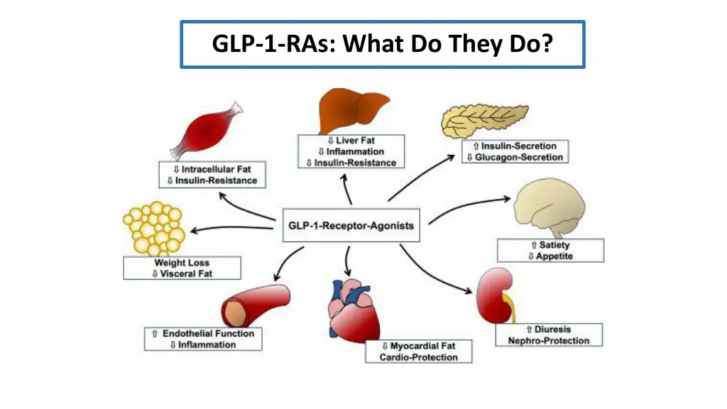 glp 1 ras what do they do