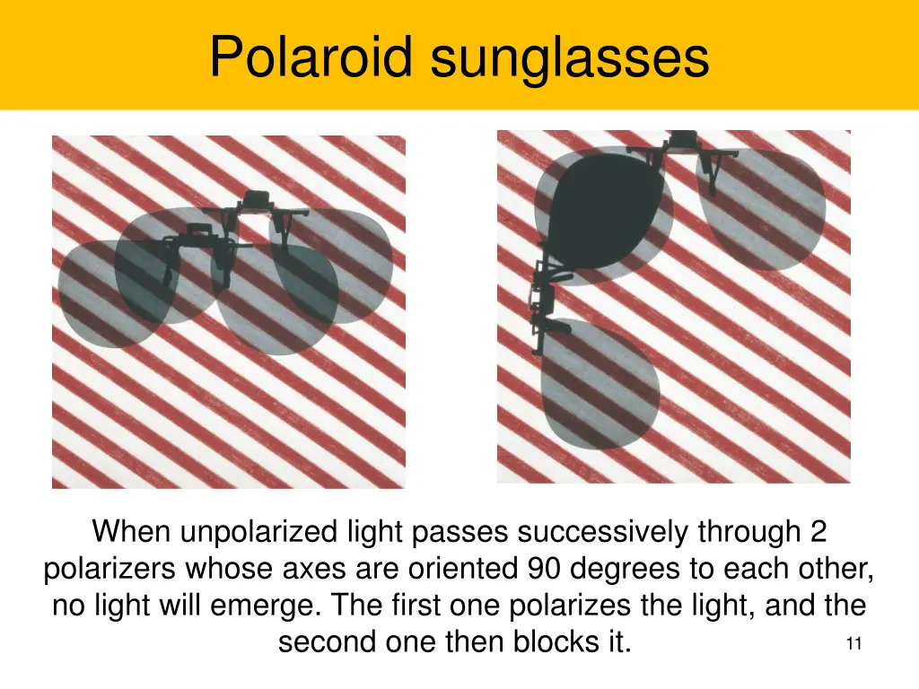 polaroid sunglasses