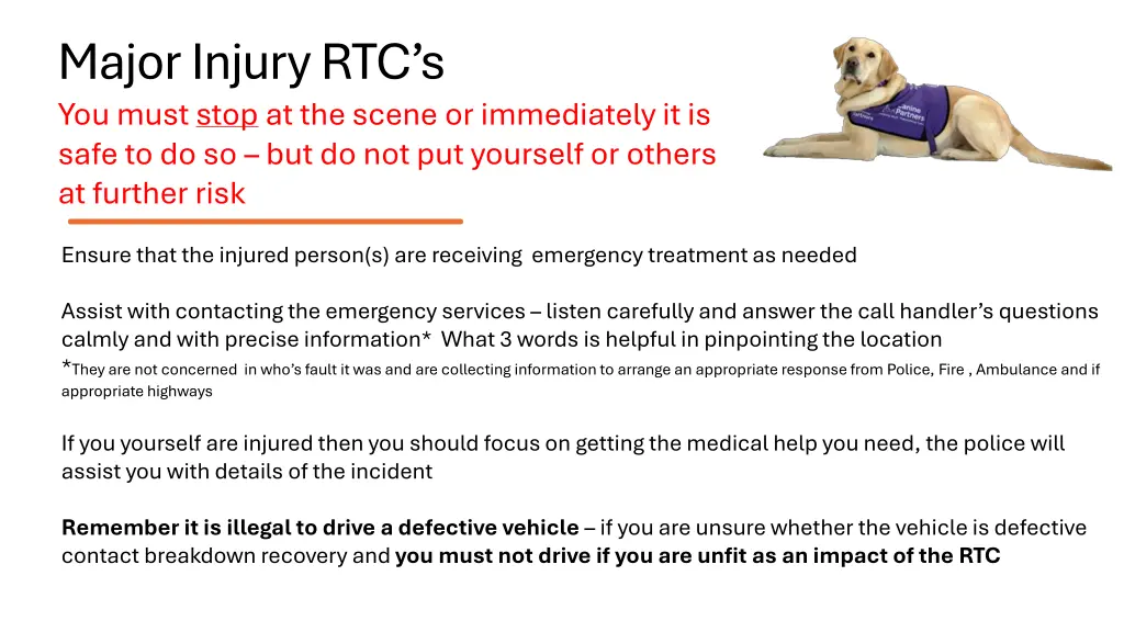 major injury rtc s you must stop at the scene