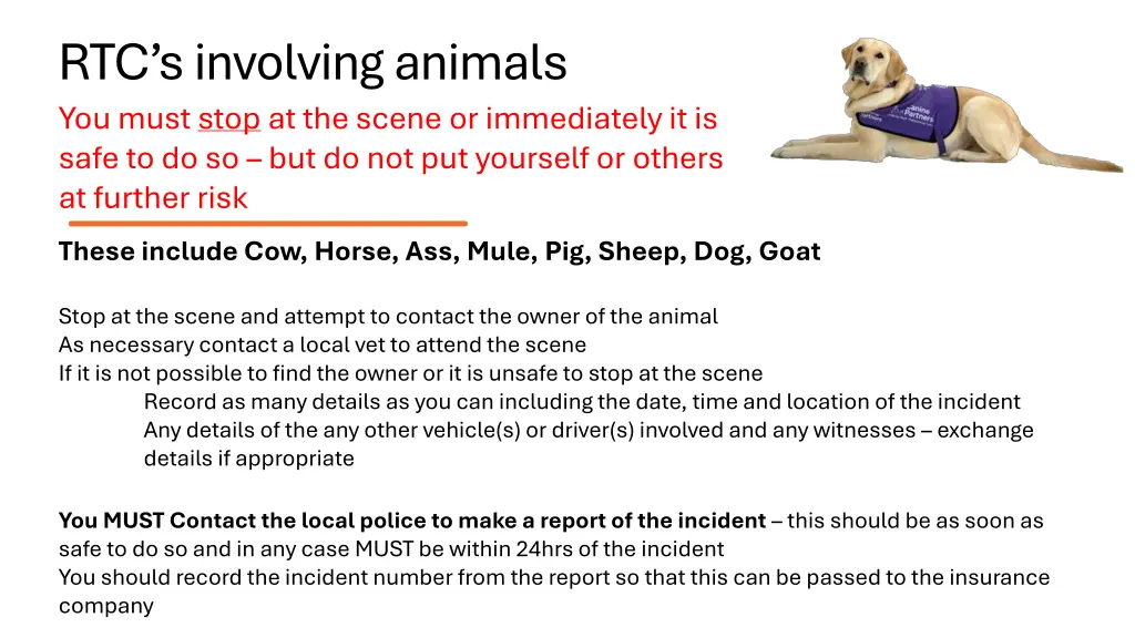 rtc s involving animals you must stop