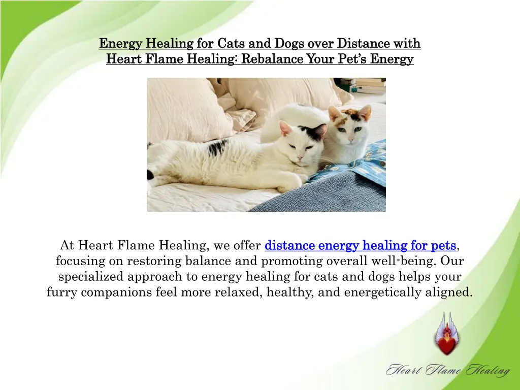 energy healing for cats and dogs over distance
