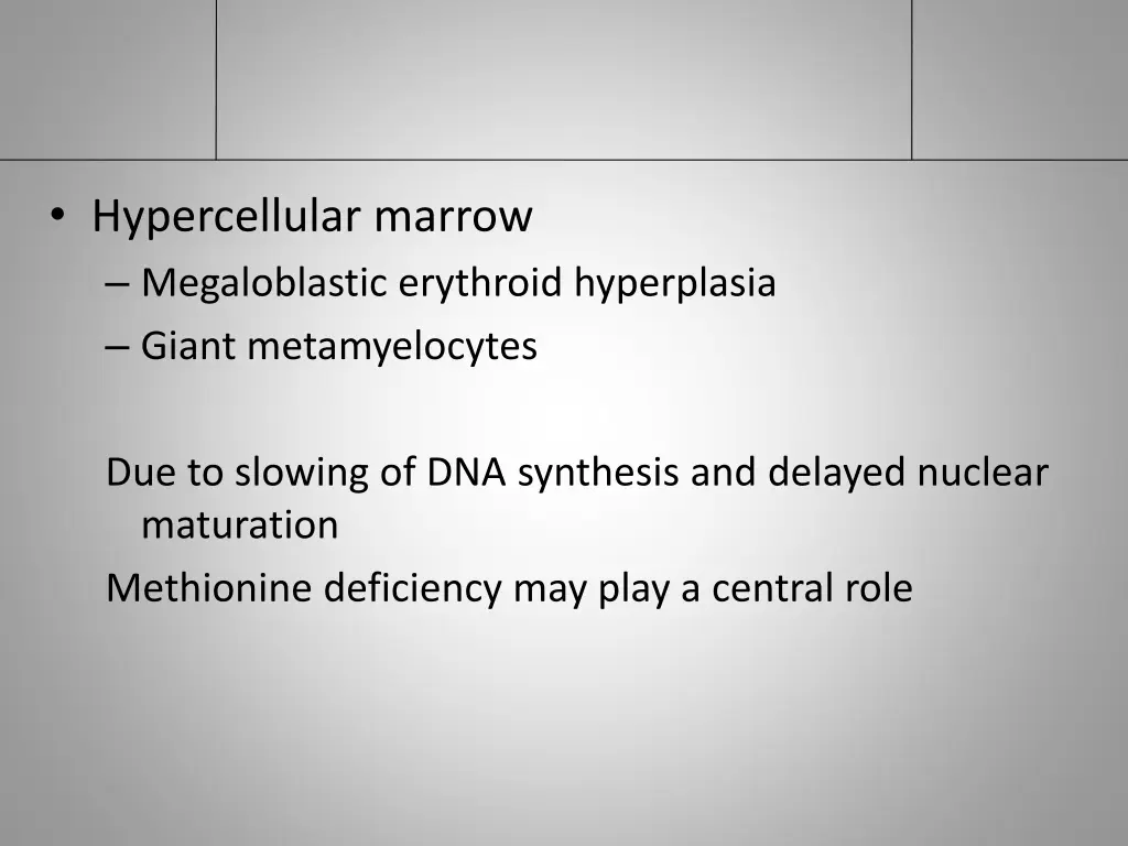 hypercellular marrow megaloblastic erythroid