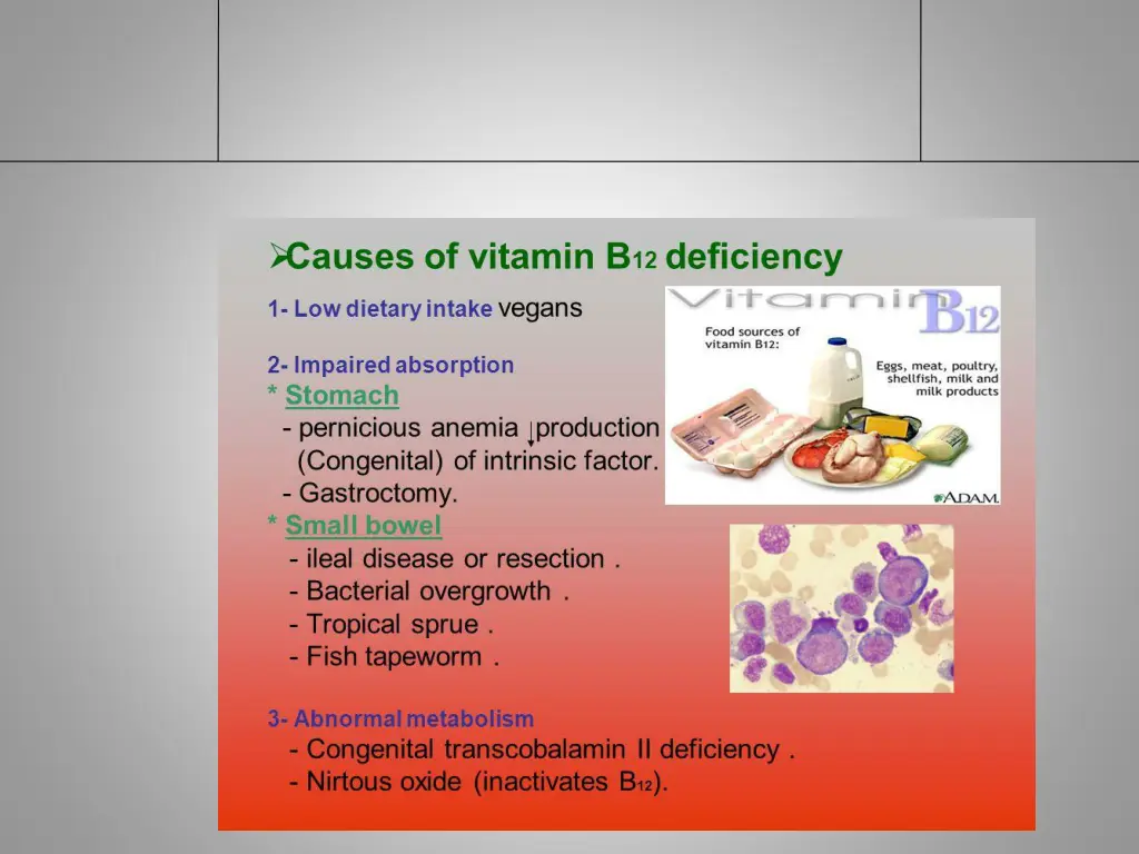 slide3
