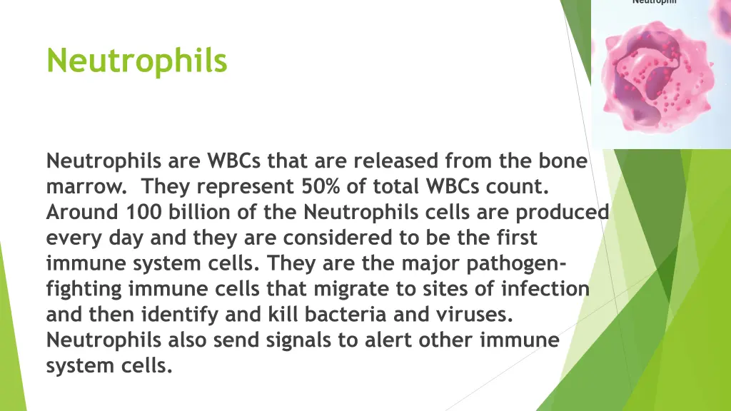 neutrophils