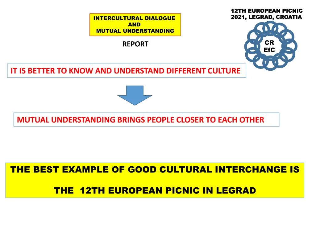 12th european picnic 12th european picnic 2021 19