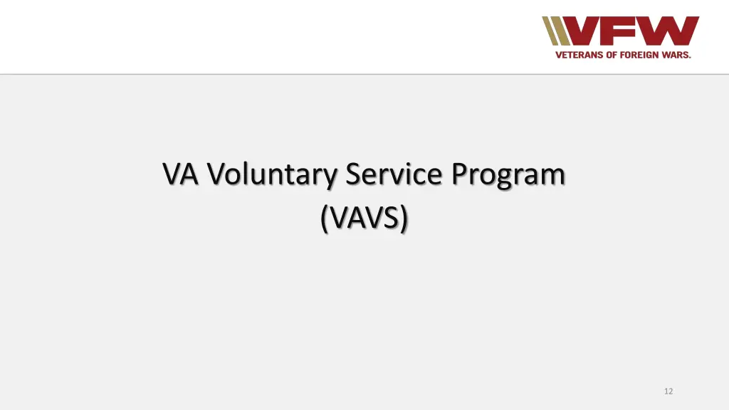 va voluntary service program vavs