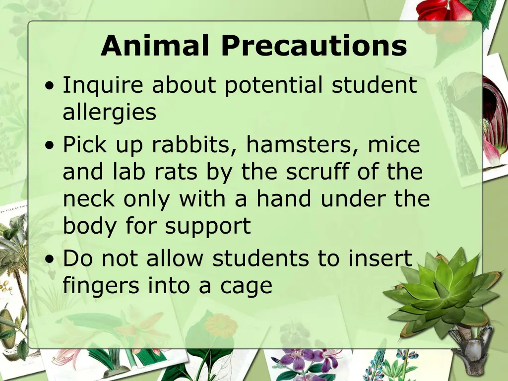 animal precautions inquire about potential