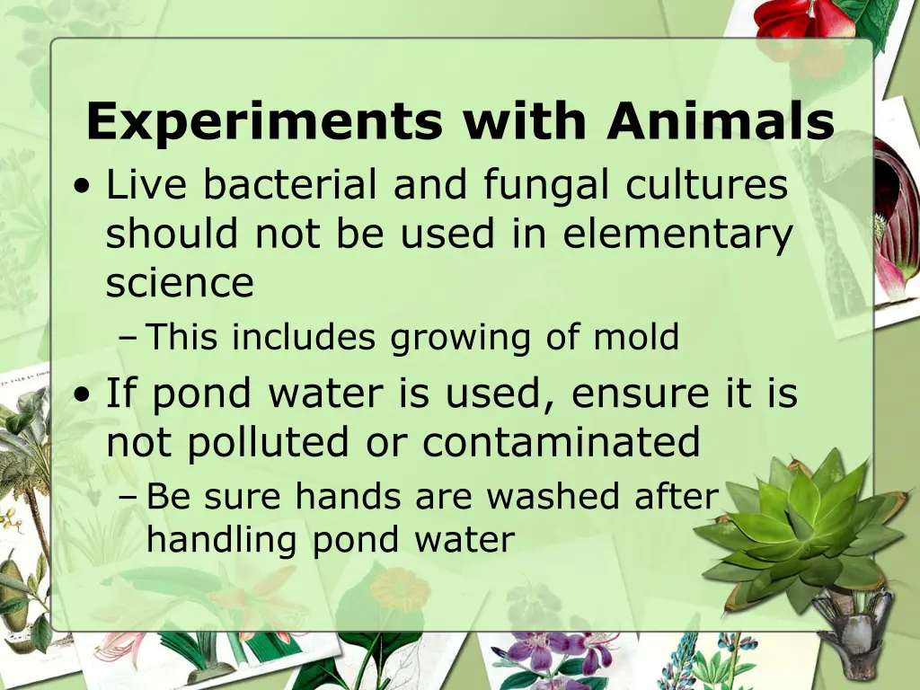 experiments with animals live bacterial