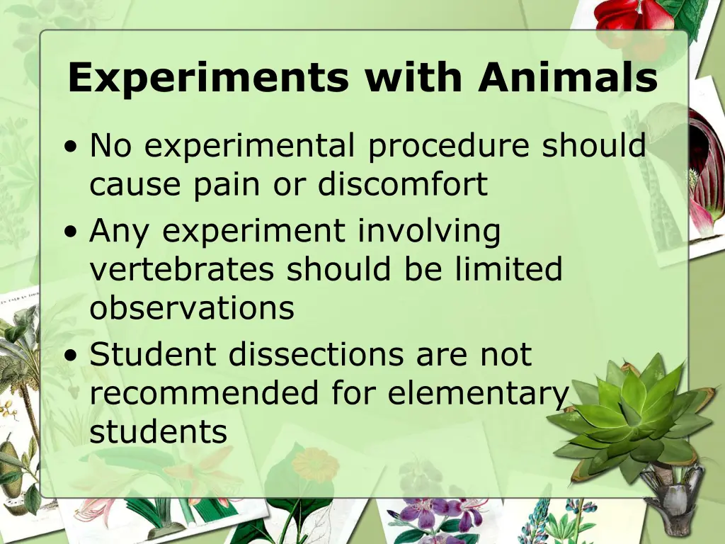 experiments with animals