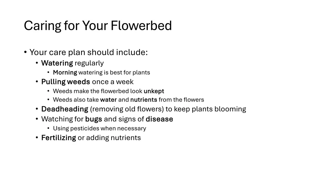 caring for your flowerbed