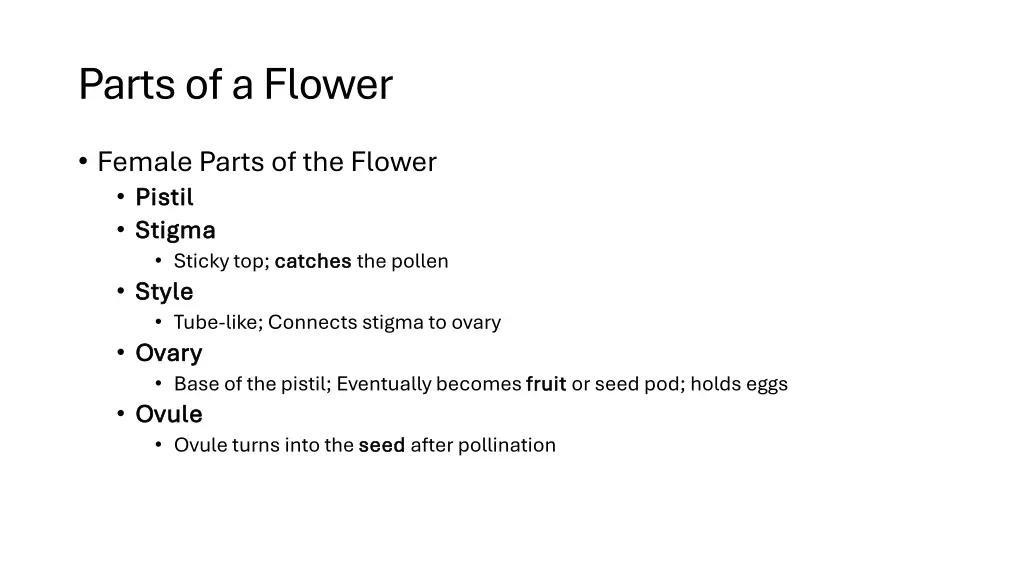 parts of a flower 1