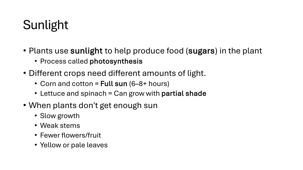 sunlight