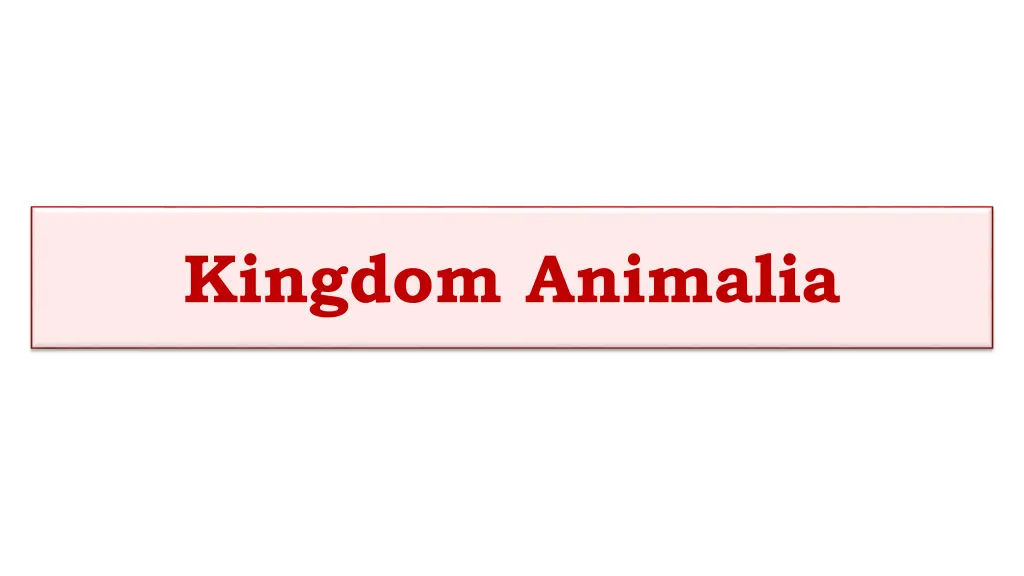 kingdom animalia
