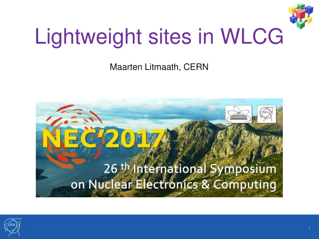 lightweight sites in wlcg