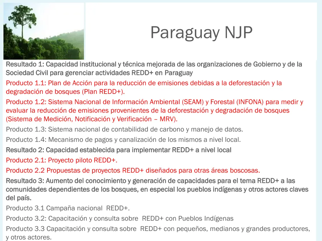 paraguay njp