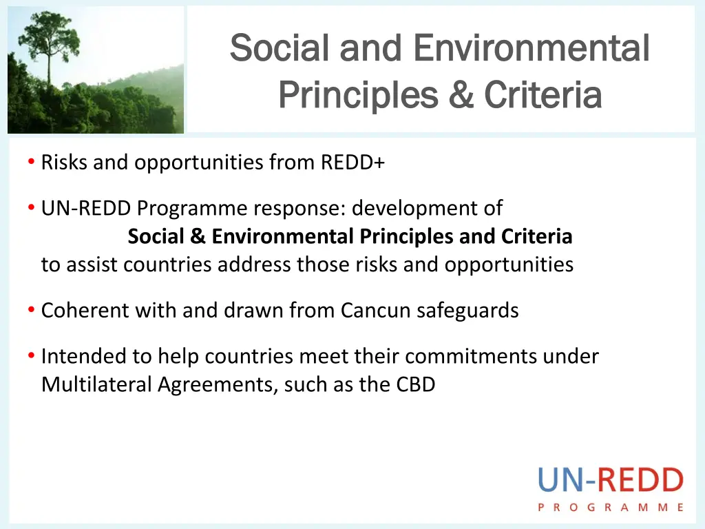 social and environmental social and environmental