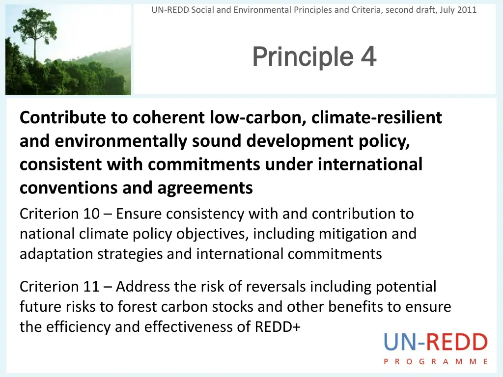 un redd social and environmental principles 3