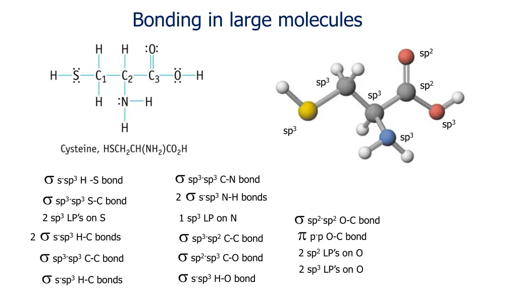 bonding in large molecules