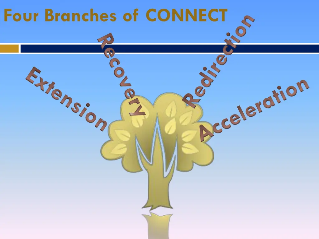 four branches of connect recovery