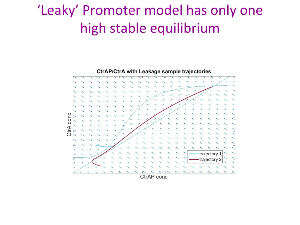 leaky promoter model has only one high stable