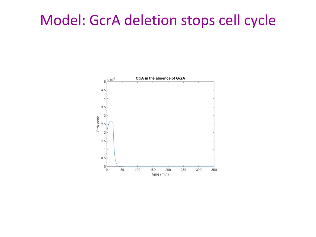 model gcra deletion stops cell cycle