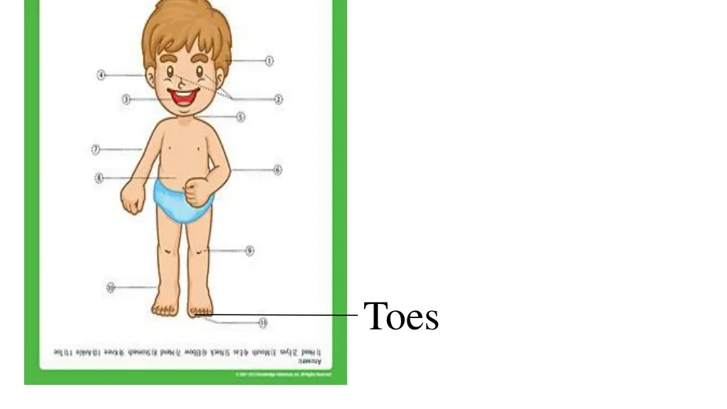 slide10